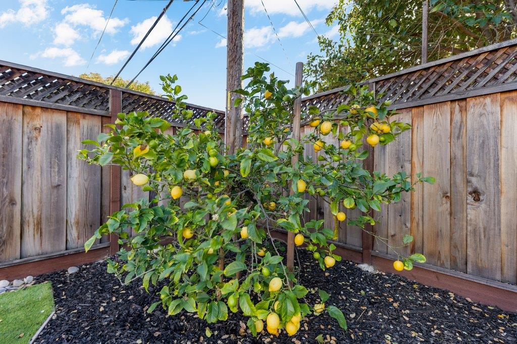 Detail Gallery Image 73 of 82 For 3955 Ross Ave, San Jose,  CA 95124 - 3 Beds | 2 Baths