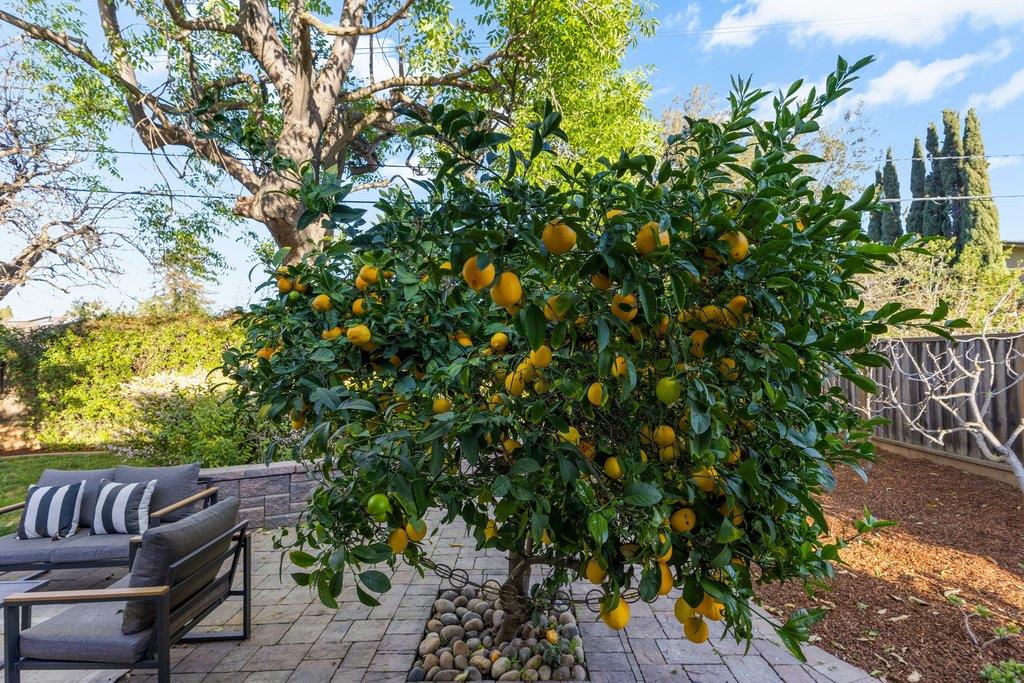 Detail Gallery Image 61 of 63 For 1484 Kingfisher Way, Sunnyvale,  CA 94087 - 3 Beds | 2 Baths