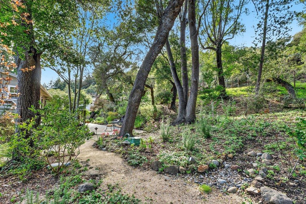 Detail Gallery Image 52 of 68 For 2907 Granite Creek Rd, Scotts Valley,  CA 95066 - 6 Beds | 3 Baths