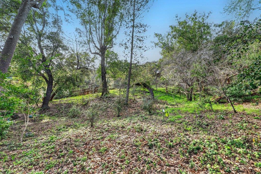 Detail Gallery Image 53 of 68 For 2907 Granite Creek Rd, Scotts Valley,  CA 95066 - 6 Beds | 3 Baths