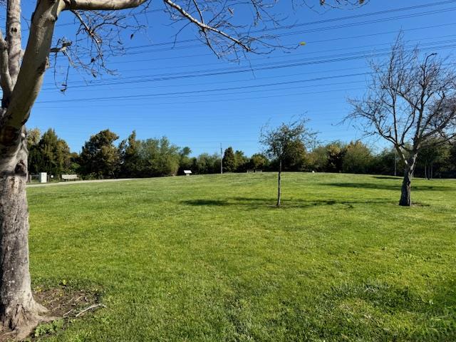 Detail Gallery Image 39 of 40 For 1639 Cypress Ave, San Mateo,  CA 94401 - 3 Beds | 1/1 Baths