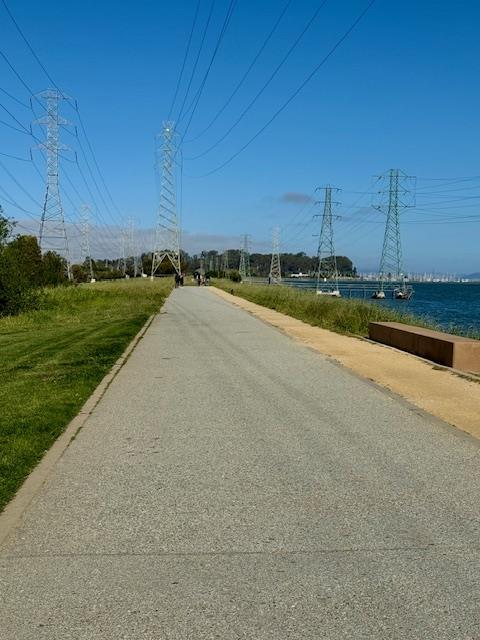 Detail Gallery Image 40 of 40 For 1639 Cypress Ave, San Mateo,  CA 94401 - 3 Beds | 1/1 Baths