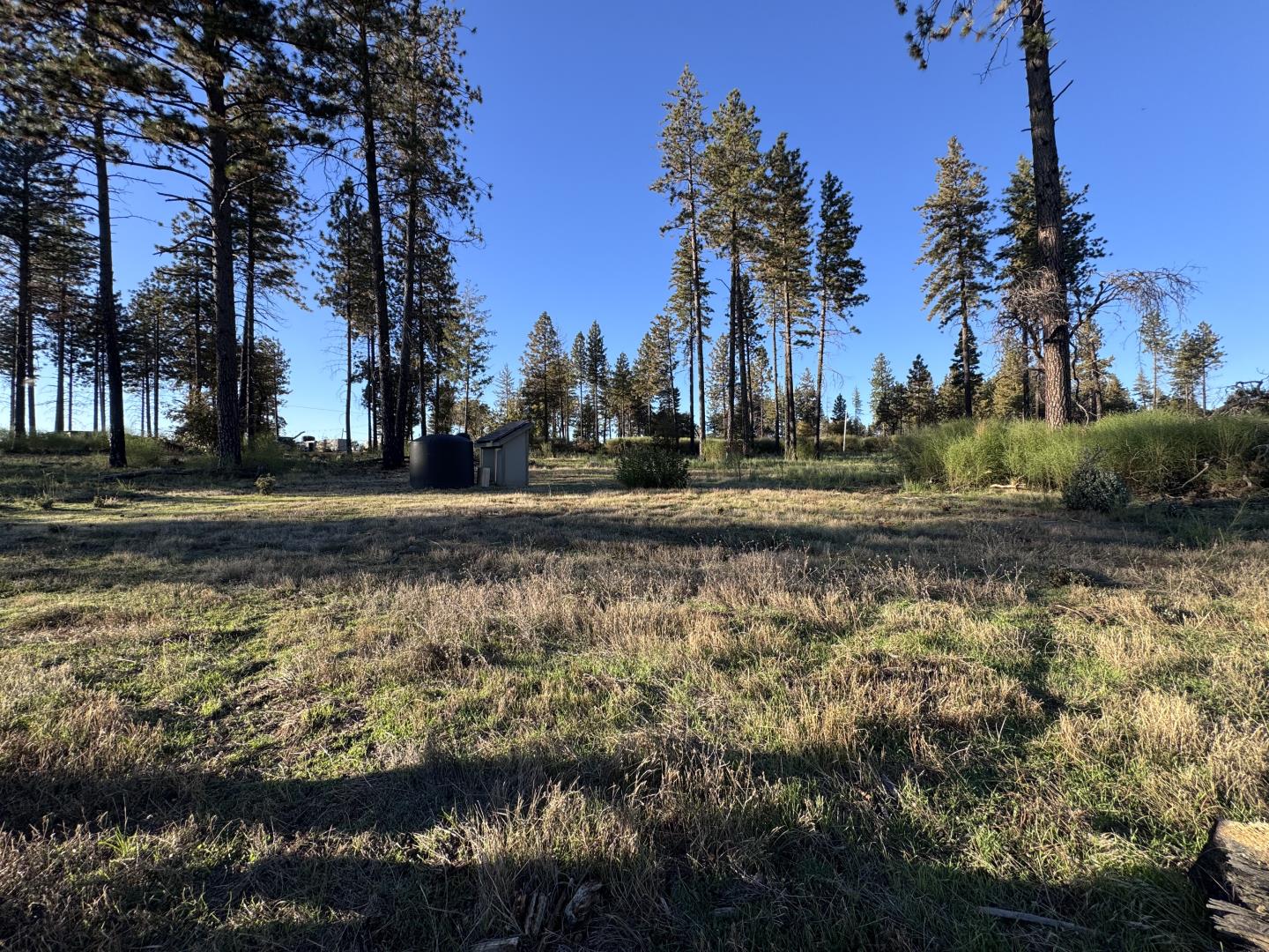 Detail Gallery Image 23 of 31 For 12168 Granite Ridge Rd, Oroville,  CA 95965 - 3 Beds | 2 Baths