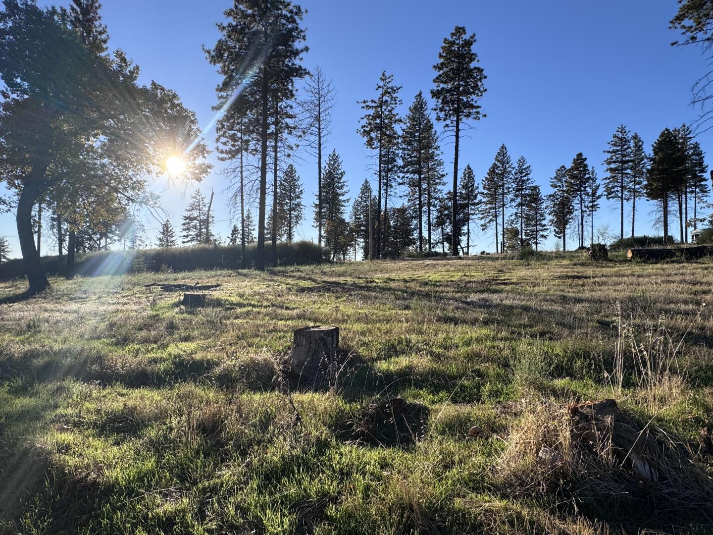 Detail Gallery Image 4 of 31 For 12168 Granite Ridge Rd, Oroville,  CA 95965 - 3 Beds | 2 Baths