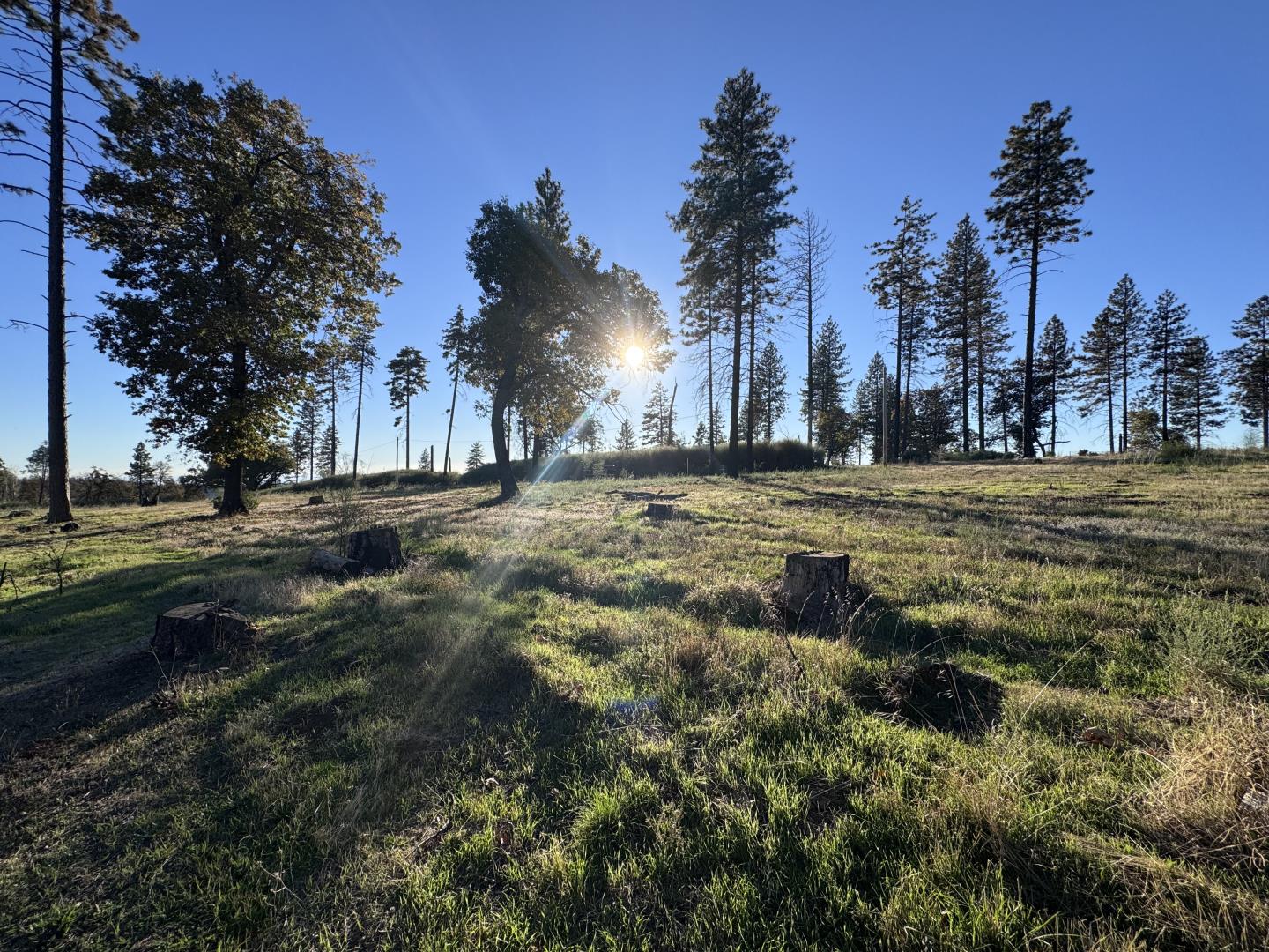 Detail Gallery Image 5 of 31 For 12168 Granite Ridge Rd, Oroville,  CA 95965 - 3 Beds | 2 Baths