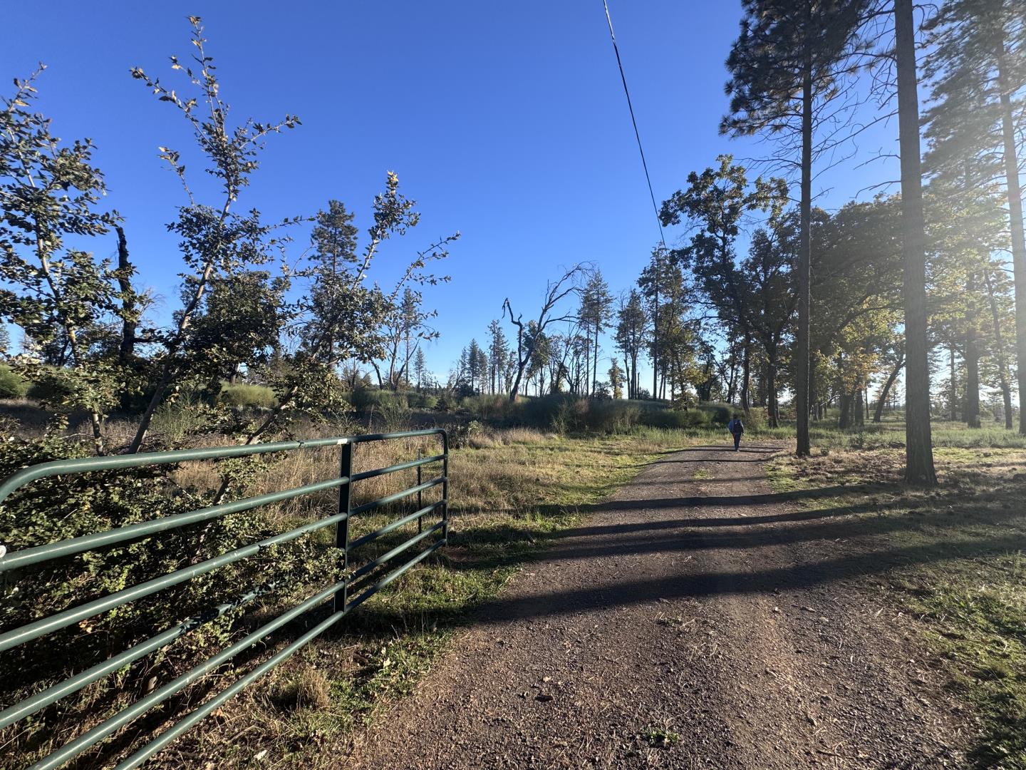 Detail Gallery Image 7 of 31 For 12168 Granite Ridge Rd, Oroville,  CA 95965 - 3 Beds | 2 Baths