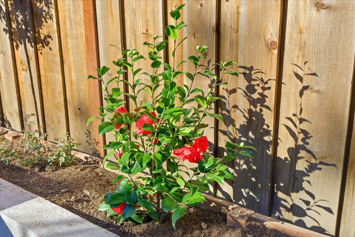 Detail Gallery Image 10 of 43 For 700 Chiquita Ave #19,  Mountain View,  CA 94041 - 2 Beds | 2/1 Baths