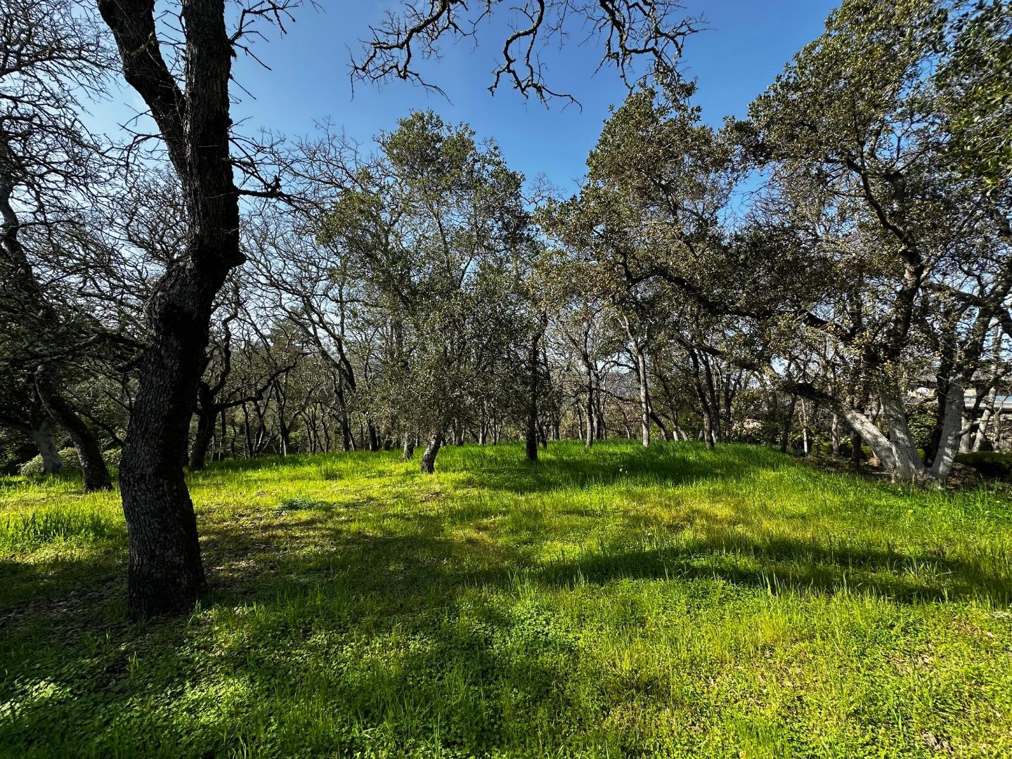 Detail Gallery Image 27 of 28 For 578 Cresta Vista Ln, Portola Valley,  CA 94028 - 3 Beds | 3/1 Baths