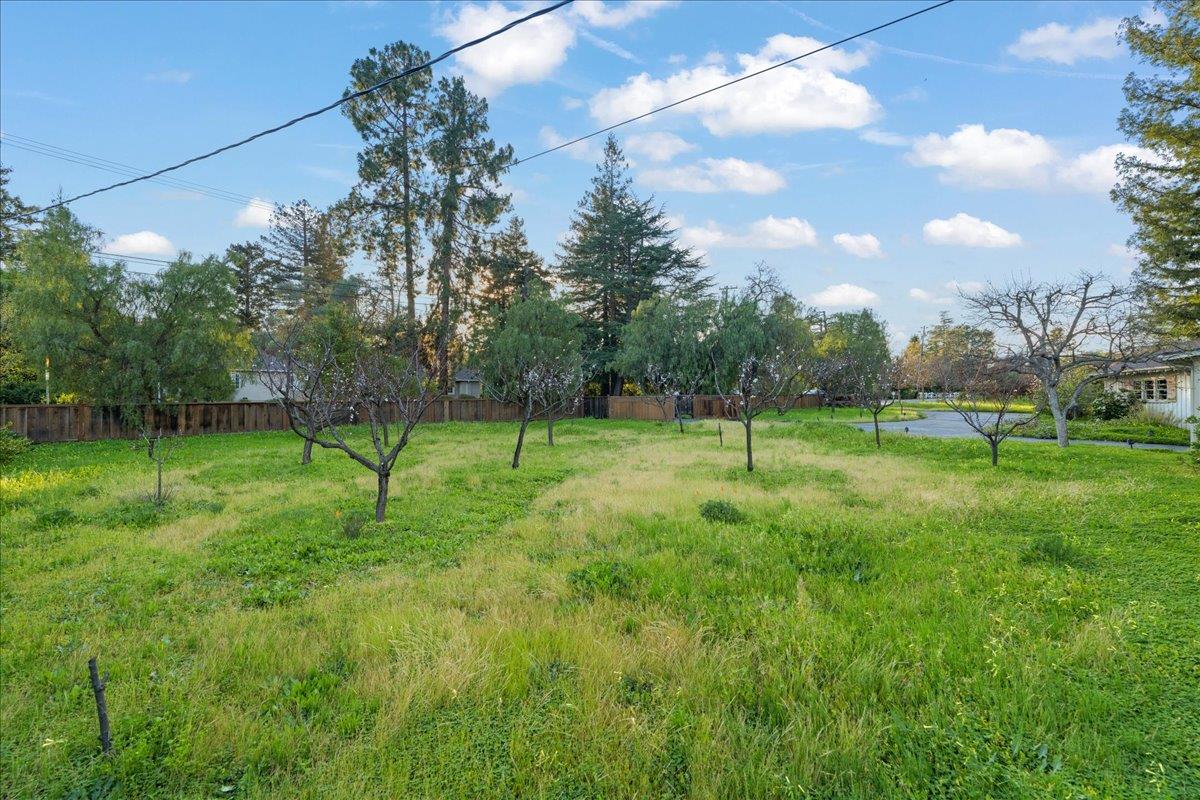 Detail Gallery Image 29 of 41 For 393 Covington Rd, Los Altos,  CA 94024 - 3 Beds | 2 Baths