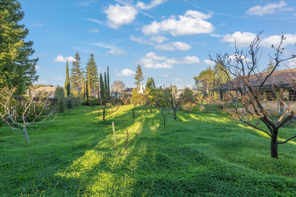 Detail Gallery Image 32 of 41 For 393 Covington Rd, Los Altos,  CA 94024 - 3 Beds | 2 Baths