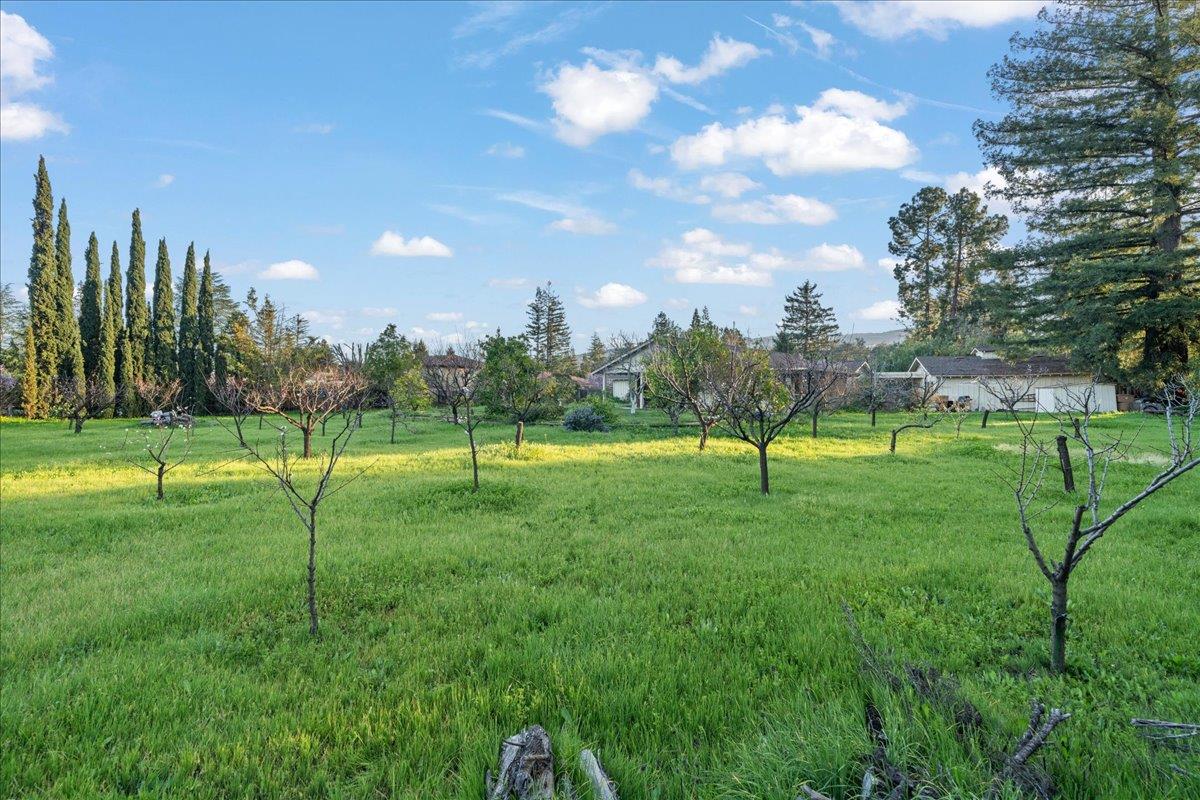 Detail Gallery Image 36 of 41 For 393 Covington Rd, Los Altos,  CA 94024 - 3 Beds | 2 Baths