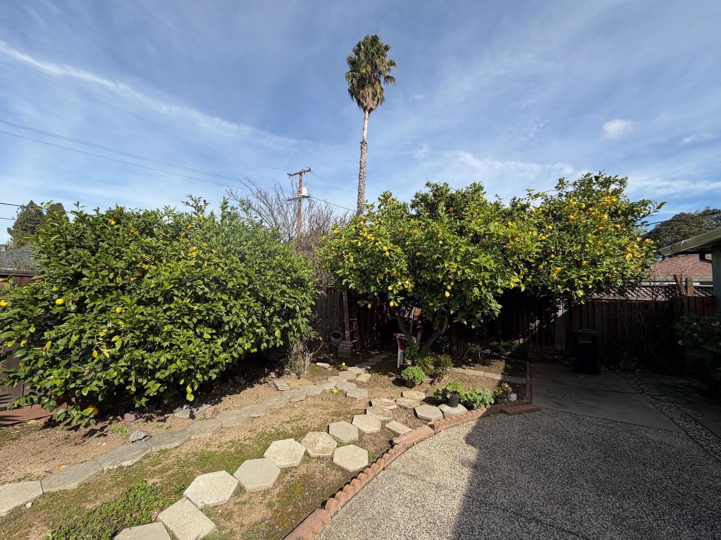 Detail Gallery Image 21 of 25 For 1481-1483 Sheffield Ave, Campbell,  CA 95008 - – Beds | – Baths