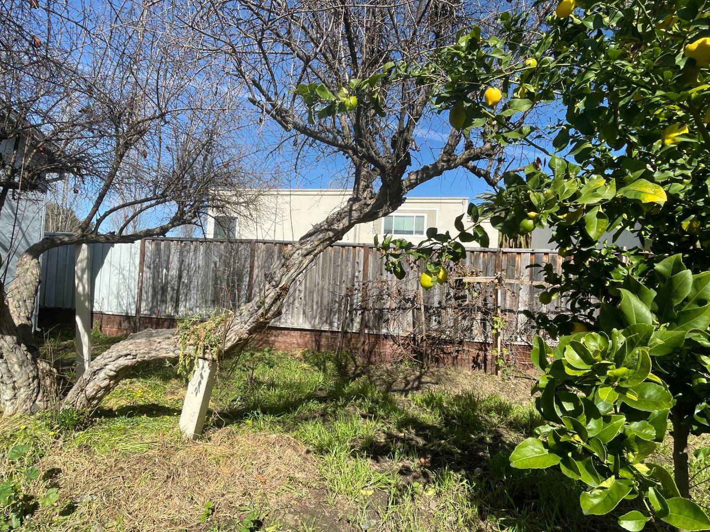 Detail Gallery Image 4 of 4 For 516 Bird Ave, San Jose,  CA 95125 - 2 Beds | 2 Baths