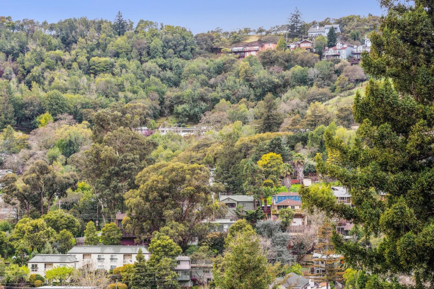 Detail Gallery Image 25 of 51 For 83 Corte Mesa Dr, San Rafael,  CA 94901 - 3 Beds | 2 Baths