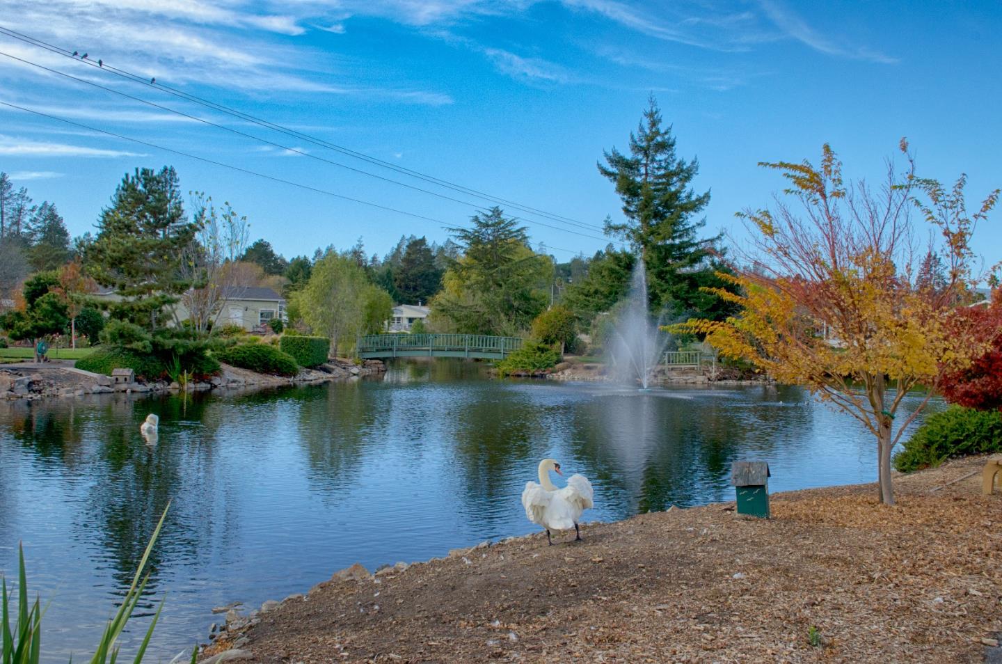 Detail Gallery Image 33 of 42 For 225 Mount Hermon Rd 19a,  Scotts Valley,  CA 95066 - 2 Beds | 2 Baths