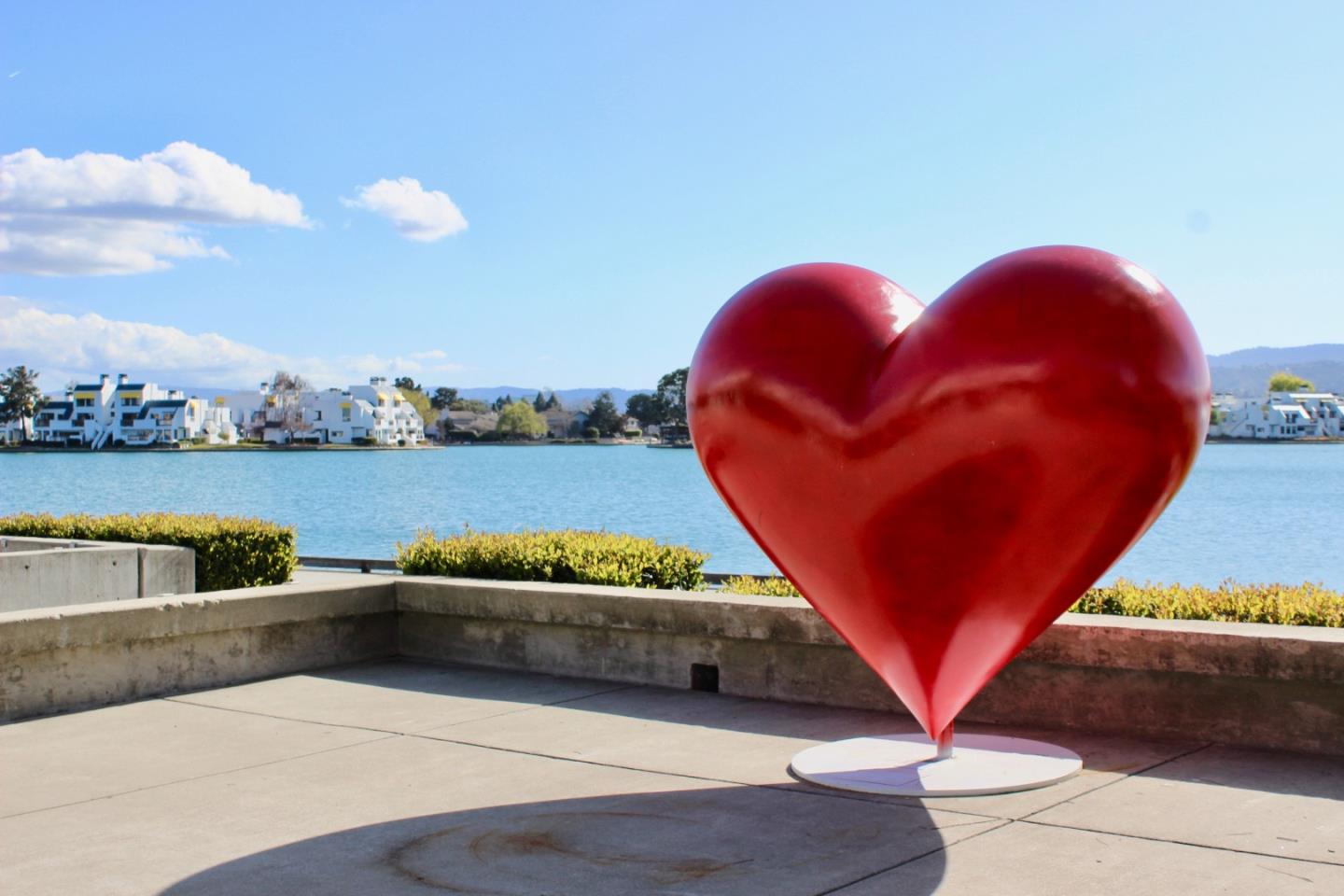 Detail Gallery Image 41 of 42 For 146 Albacore Ln, Foster City,  CA 94404 - 3 Beds | 2/1 Baths