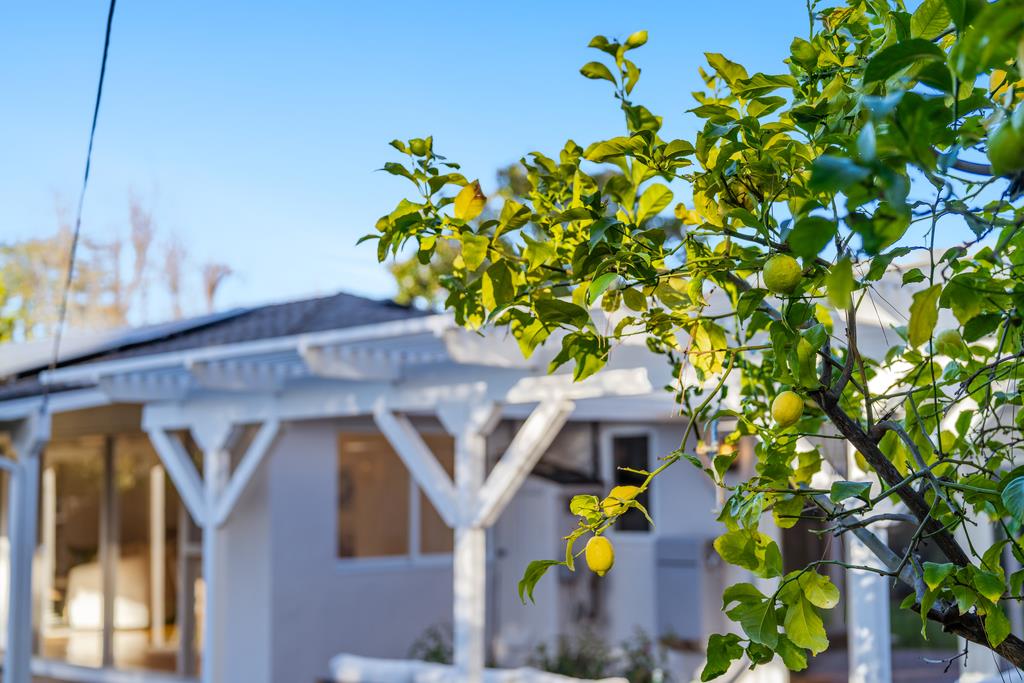 Detail Gallery Image 51 of 63 For 11891 Brookglen Dr, Saratoga,  CA 95070 - 3 Beds | 2/1 Baths