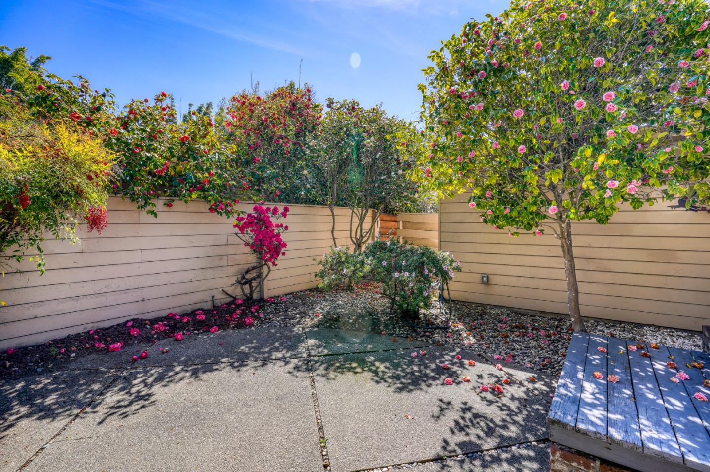 Detail Gallery Image 22 of 32 For 1914 Channing Ave, Palo Alto,  CA 94303 - 3 Beds | 2 Baths