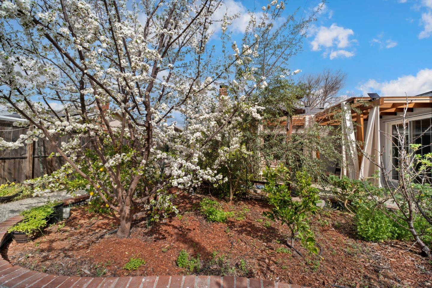 Detail Gallery Image 32 of 38 For 1666 Blossom Hill Rd, San Jose,  CA 95124 - 4 Beds | 2 Baths