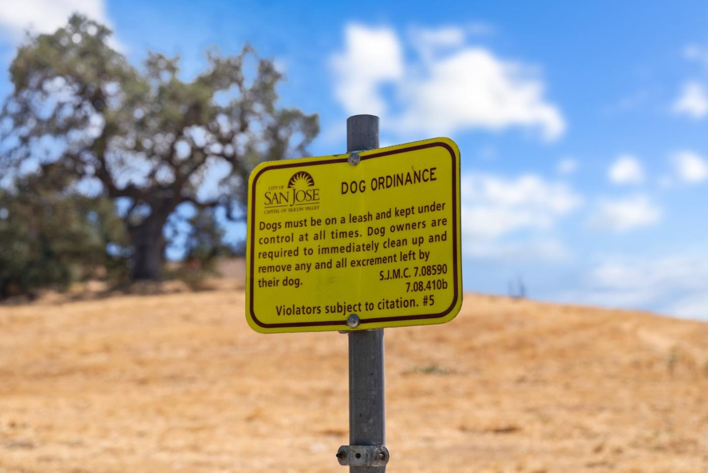 Detail Gallery Image 36 of 44 For 6221 Glider Dr, San Jose,  CA 95123 - 4 Beds | 2 Baths