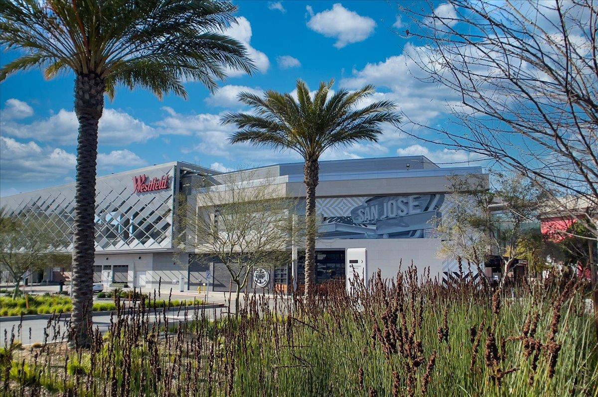 Detail Gallery Image 46 of 52 For 4120 Williams Rd, San Jose,  CA 95117 - 3 Beds | 2 Baths