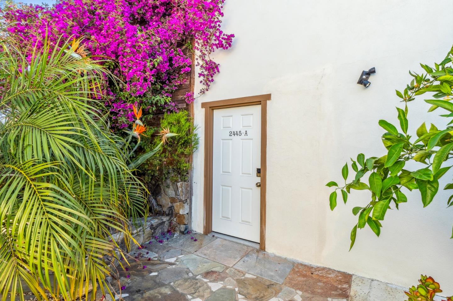 Detail Gallery Image 18 of 59 For 2443-2445 24th Ave, Oakland,  CA 94601 - – Beds | – Baths