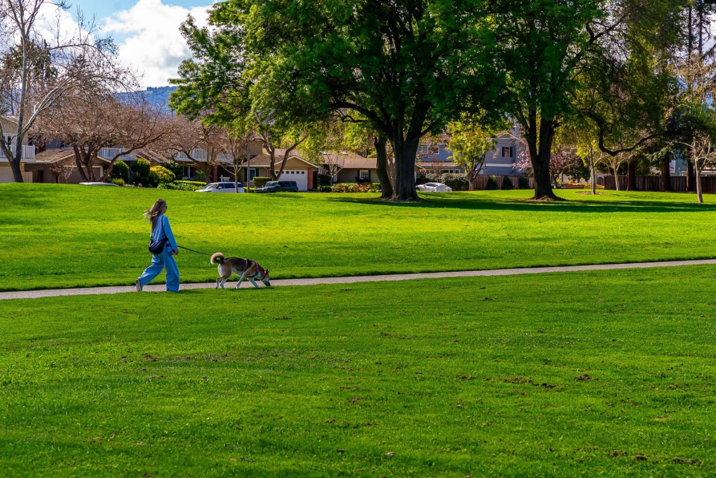 Photo #48: ML82037491 Listing: Photo #48