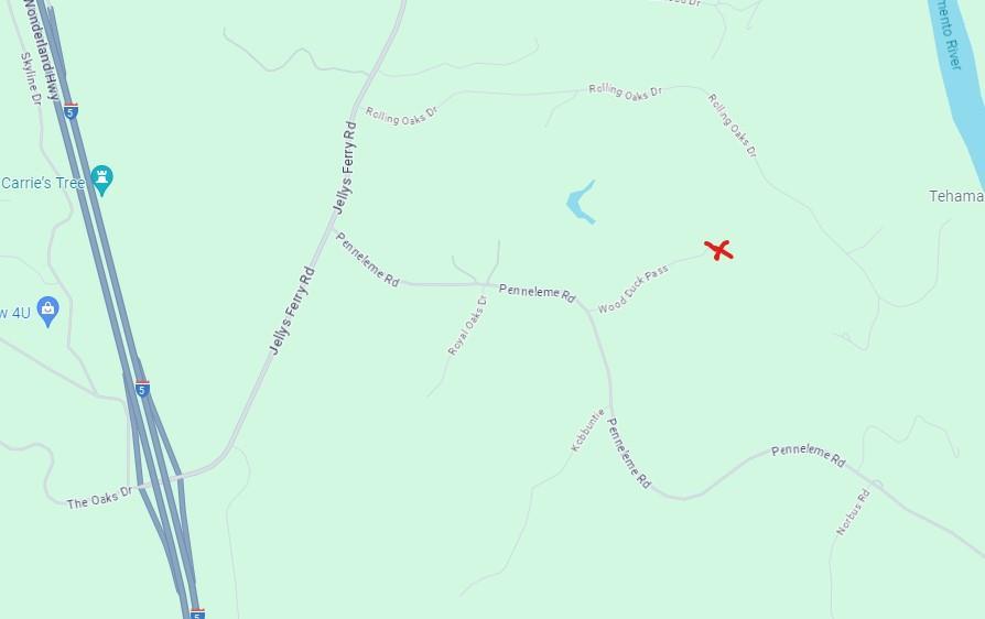 Detail Gallery Image 6 of 22 For 0 Wood Duck Pass Rd, Red Bluff,  CA 96080 - – Beds | – Baths