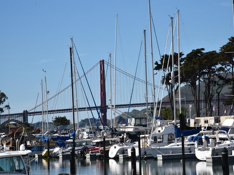 Detail Gallery Image 25 of 32 For 1921 Jefferson St #205,  San Francisco,  CA 94123 - 2 Beds | 2 Baths