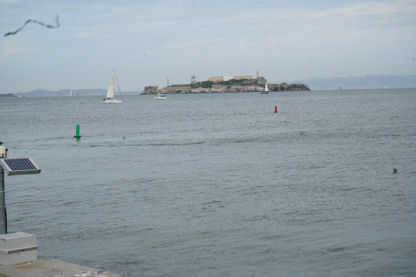 Detail Gallery Image 30 of 32 For 1921 Jefferson St #205,  San Francisco,  CA 94123 - 2 Beds | 2 Baths