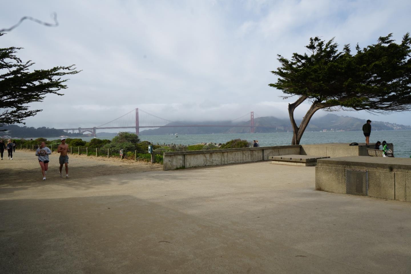 Detail Gallery Image 9 of 13 For 1921 Jefferson St #205,  San Francisco,  CA 94123 - 2 Beds | 2 Baths