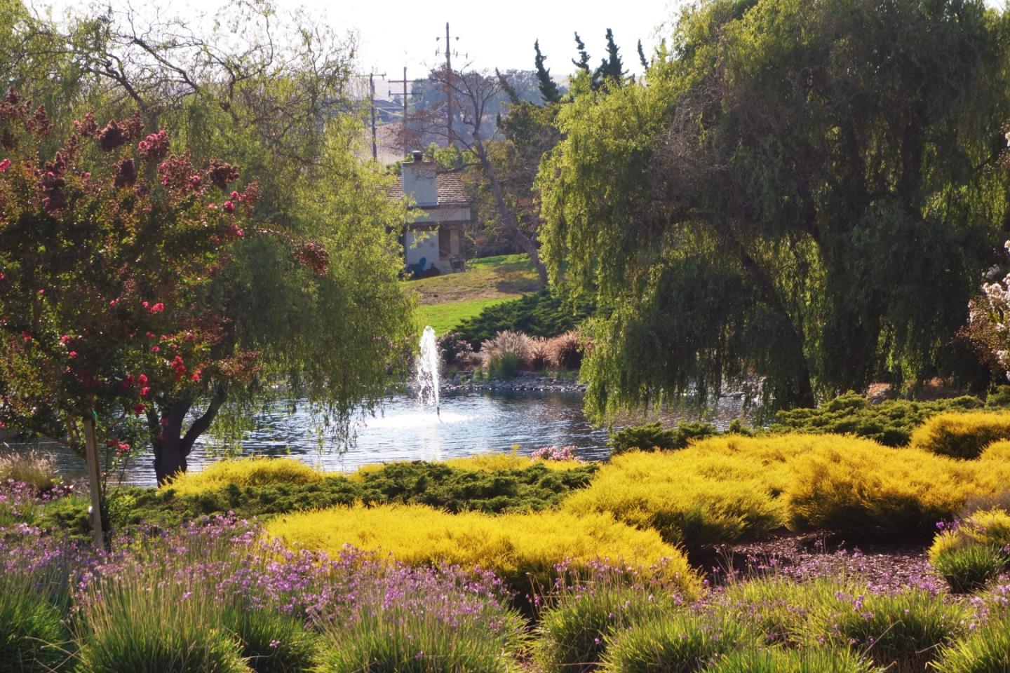 Detail Gallery Image 42 of 45 For 8750 Mccarty Ranch Dr, San Jose,  CA 95135 - 2 Beds | 2/1 Baths
