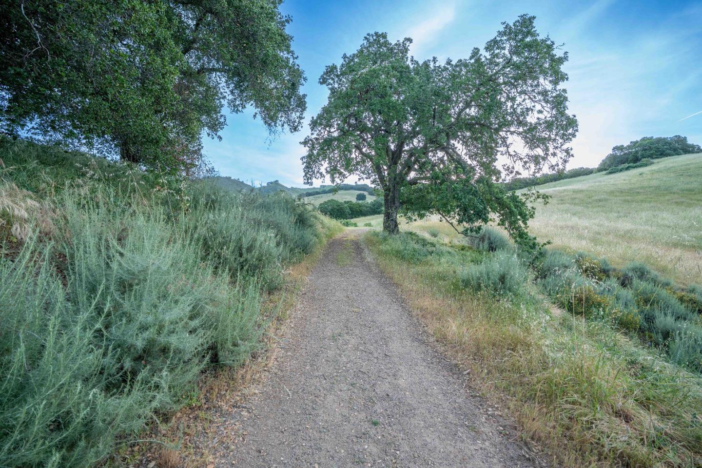 Photo #53: ML82037545 Listing: Photo #53