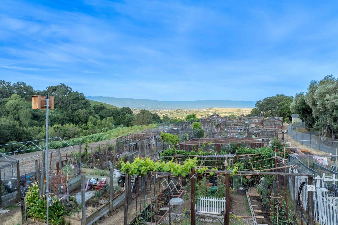 Photo #55: ML82037545 Listing: Photo #55