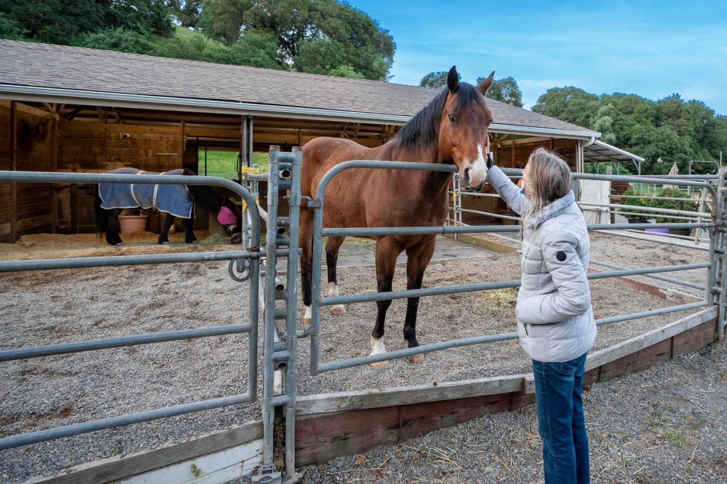 Photo #56: ML82037545 Listing: Photo #56