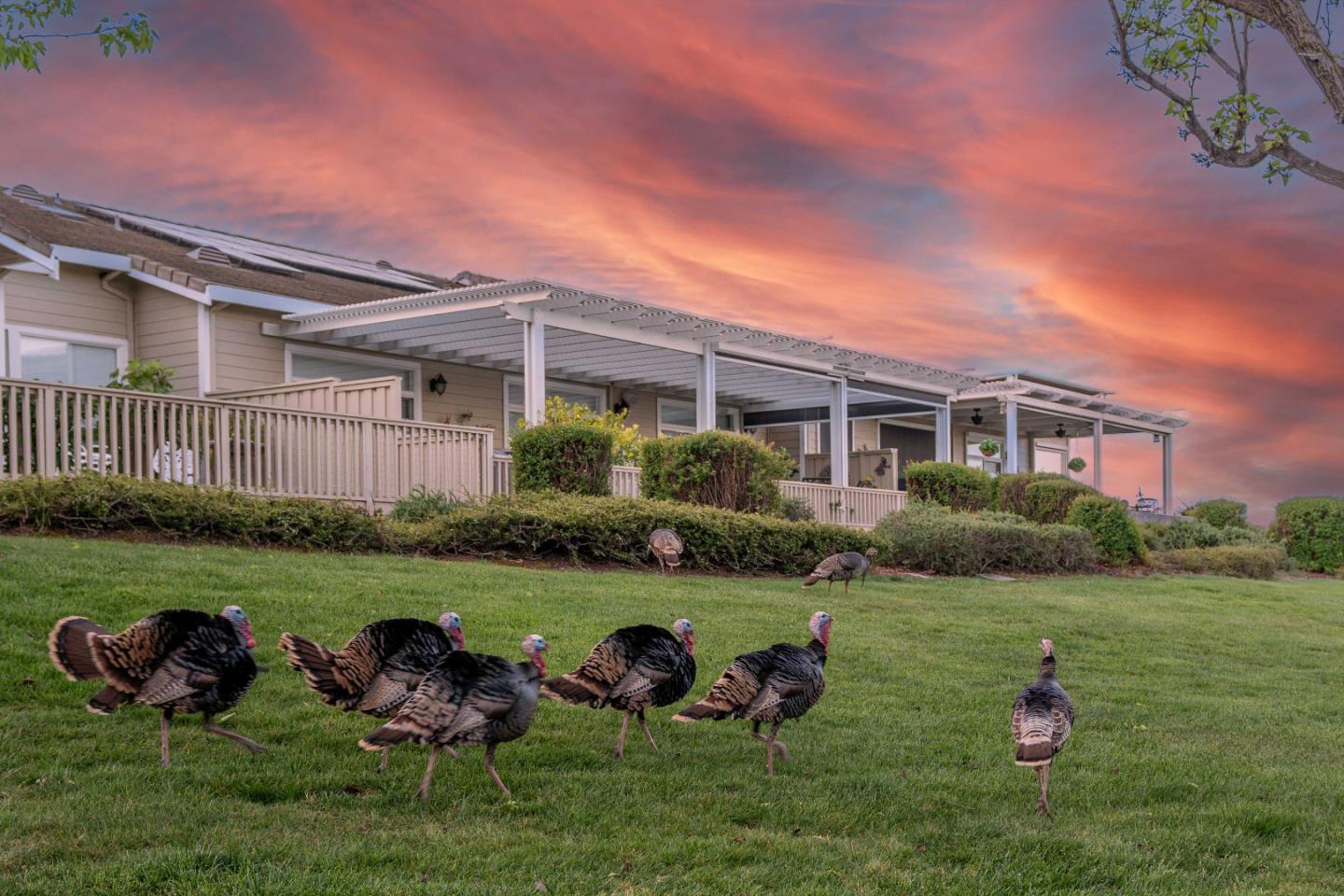 Photo #57: ML82037545 Listing: Photo #57