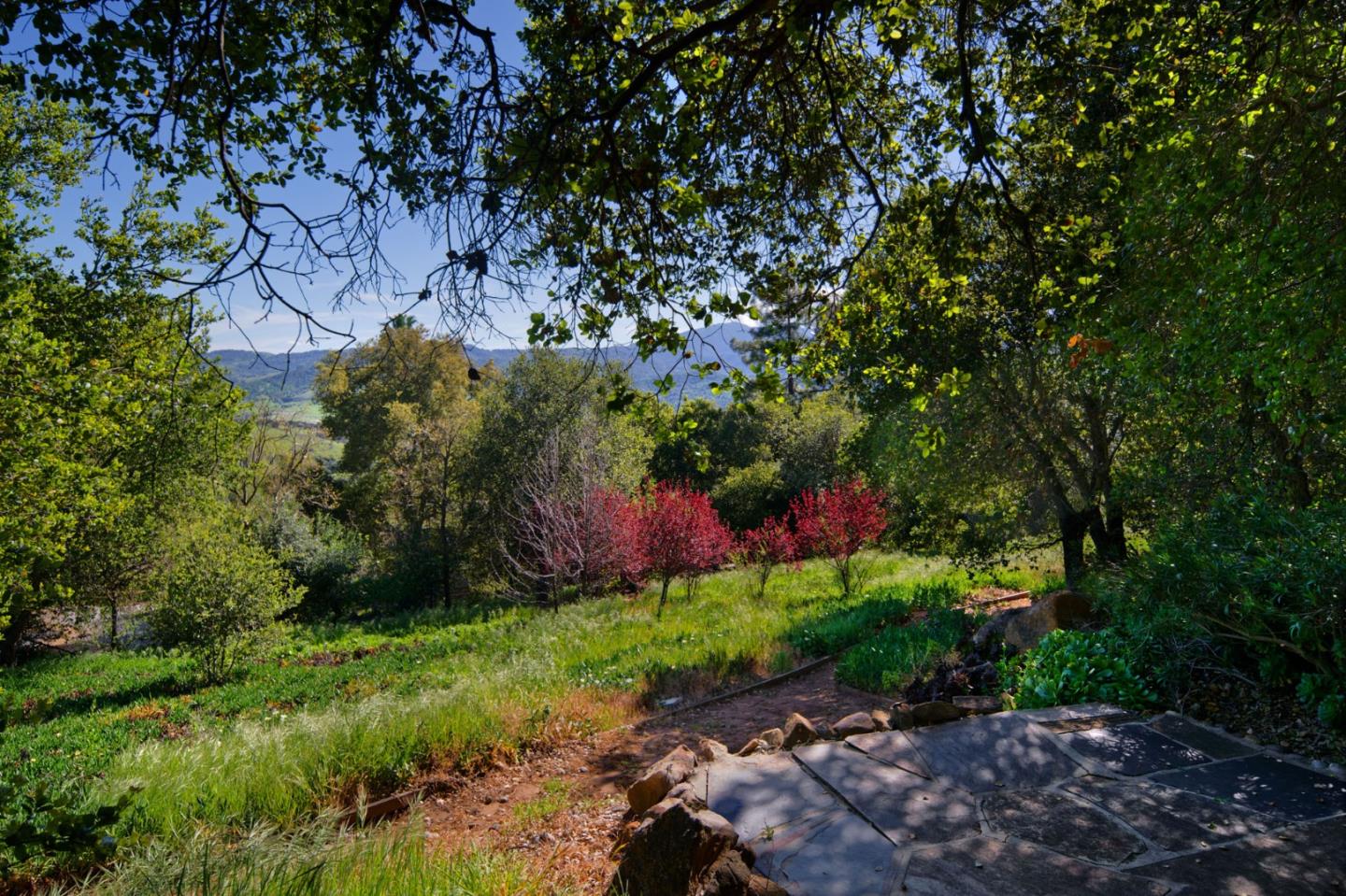 Detail Gallery Image 98 of 102 For 20768 Scenic Vista Dr, San Jose,  CA 95120 - 5 Beds | 3/1 Baths