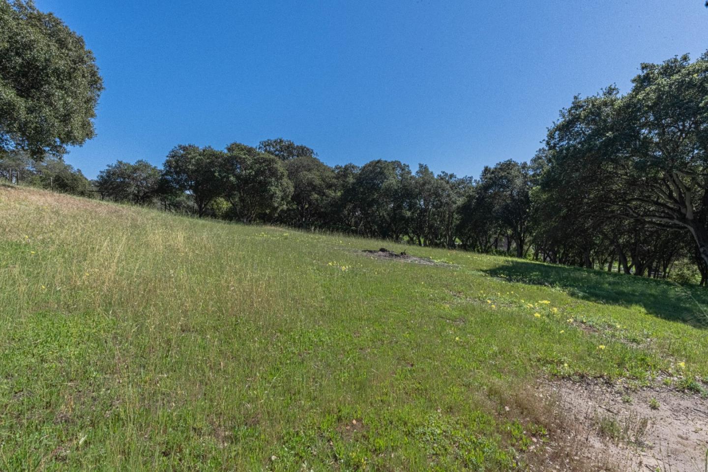 Detail Gallery Image 14 of 16 For 16787 Blackie Rd, Salinas,  CA 93907 - – Beds | – Baths