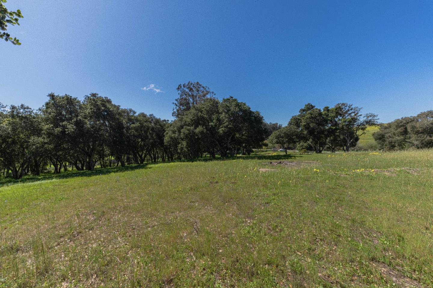 Detail Gallery Image 15 of 16 For 16787 Blackie Rd, Salinas,  CA 93907 - – Beds | – Baths