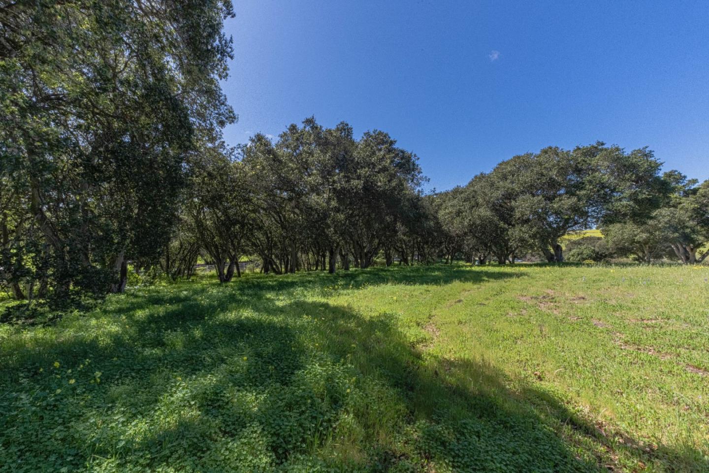 Detail Gallery Image 16 of 16 For 16787 Blackie Rd, Salinas,  CA 93907 - – Beds | – Baths