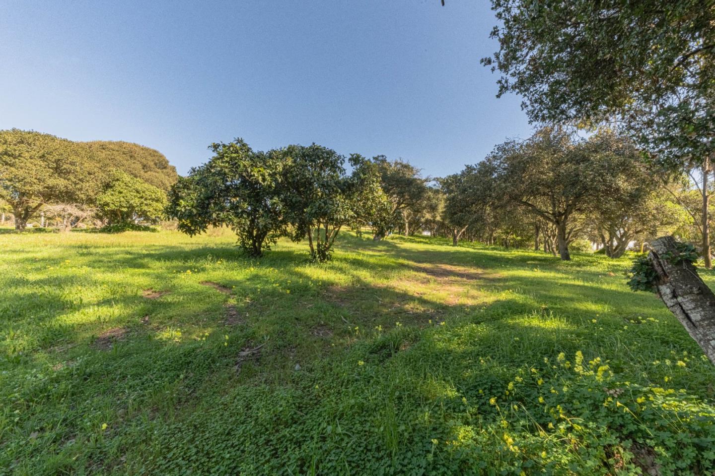 Detail Gallery Image 4 of 16 For 16787 Blackie Rd, Salinas,  CA 93907 - – Beds | – Baths