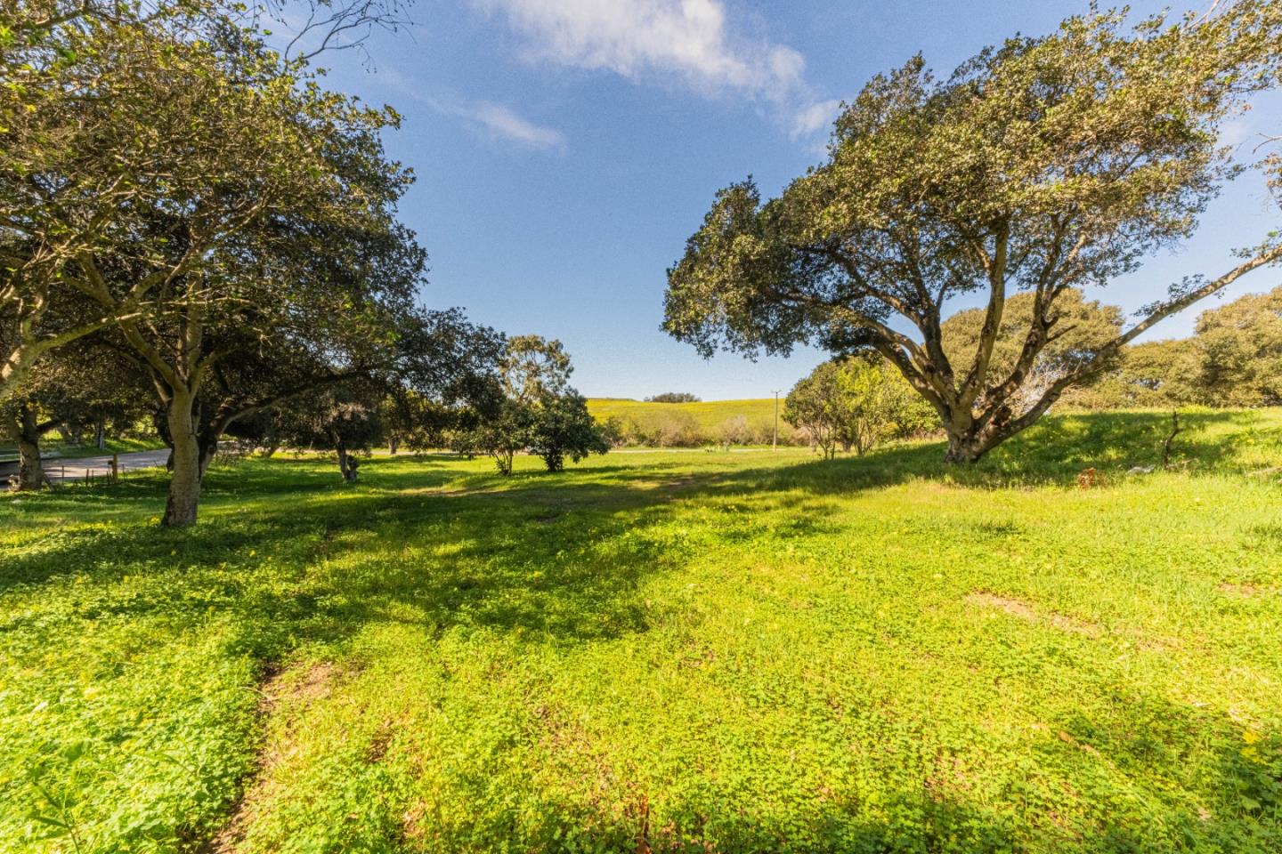 Detail Gallery Image 6 of 16 For 16787 Blackie Rd, Salinas,  CA 93907 - – Beds | – Baths