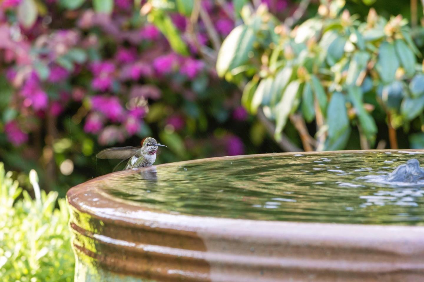 Detail Gallery Image 5 of 69 For 311 Linfield Dr, Menlo Park,  CA 94025 - 4 Beds | 3/1 Baths