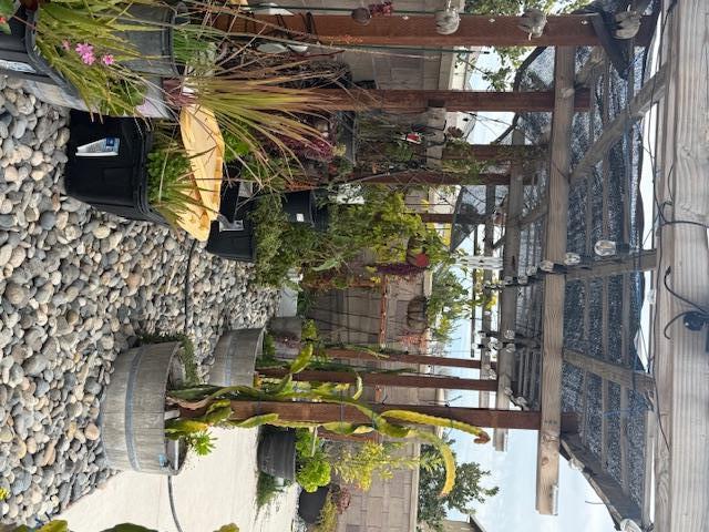 Detail Gallery Image 11 of 56 For 1045 Osprey Dr, Lathrop,  CA 95330 - 5 Beds | 3 Baths