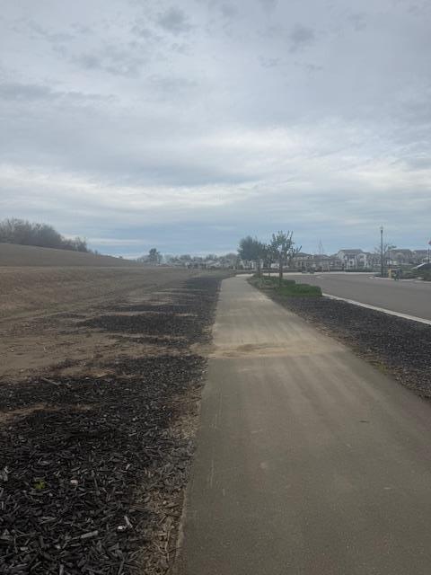 Detail Gallery Image 48 of 56 For 1045 Osprey Dr, Lathrop,  CA 95330 - 5 Beds | 3 Baths