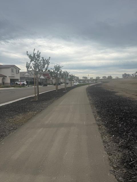 Detail Gallery Image 49 of 56 For 1045 Osprey Dr, Lathrop,  CA 95330 - 5 Beds | 3 Baths