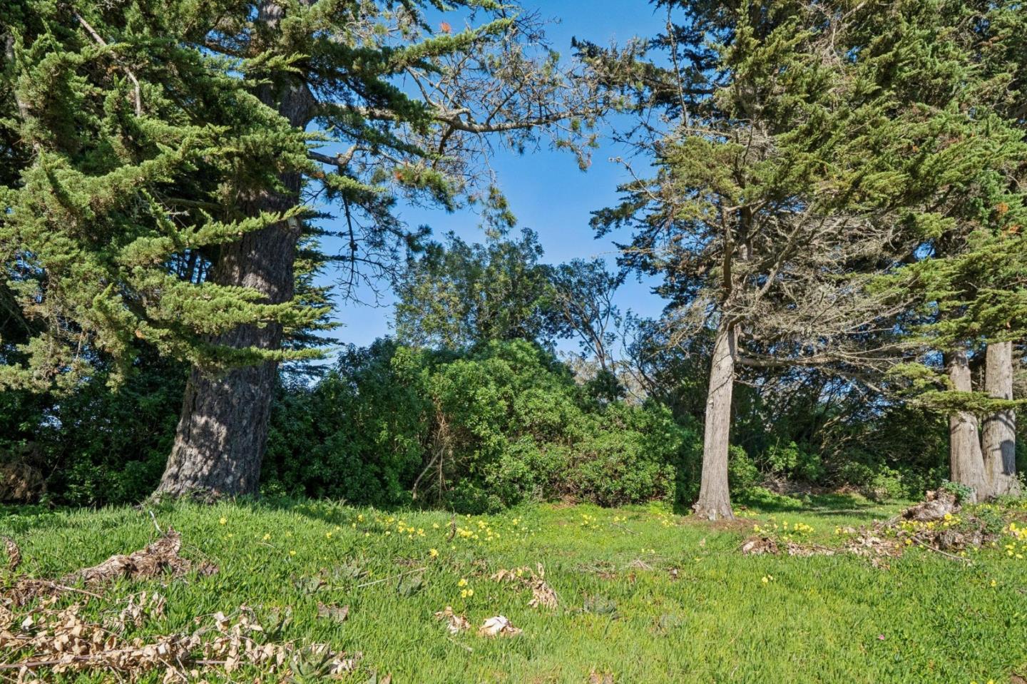 Detail Gallery Image 41 of 47 For 38 Wilshire Ave, Daly City,  CA 94015 - 3 Beds | 3 Baths