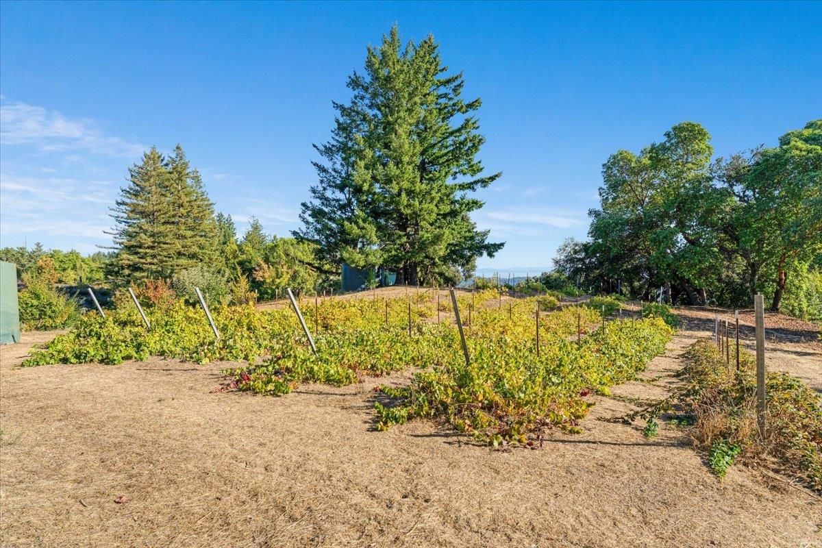 Detail Gallery Image 48 of 76 For 24854 Skyland Rd, Los Gatos,  CA 95033 - 3 Beds | 2 Baths