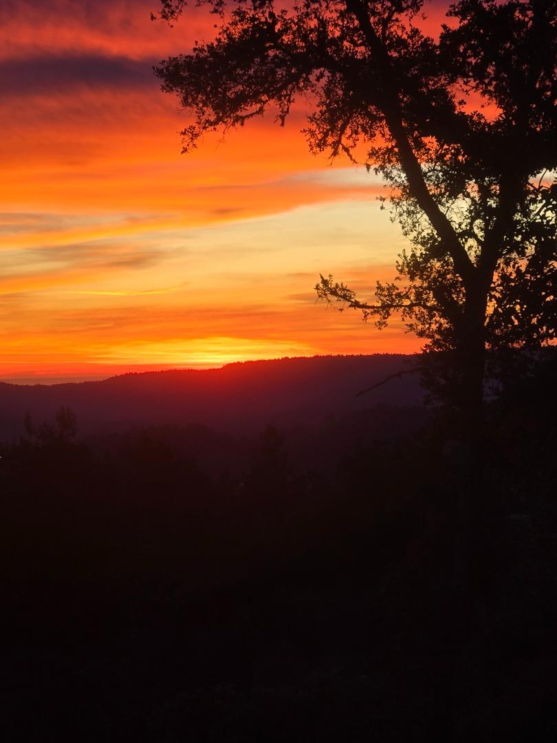 Detail Gallery Image 61 of 76 For 24854 Skyland Rd, Los Gatos,  CA 95033 - 3 Beds | 2 Baths