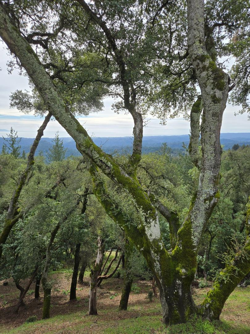 Detail Gallery Image 64 of 76 For 24854 Skyland Rd, Los Gatos,  CA 95033 - 3 Beds | 2 Baths